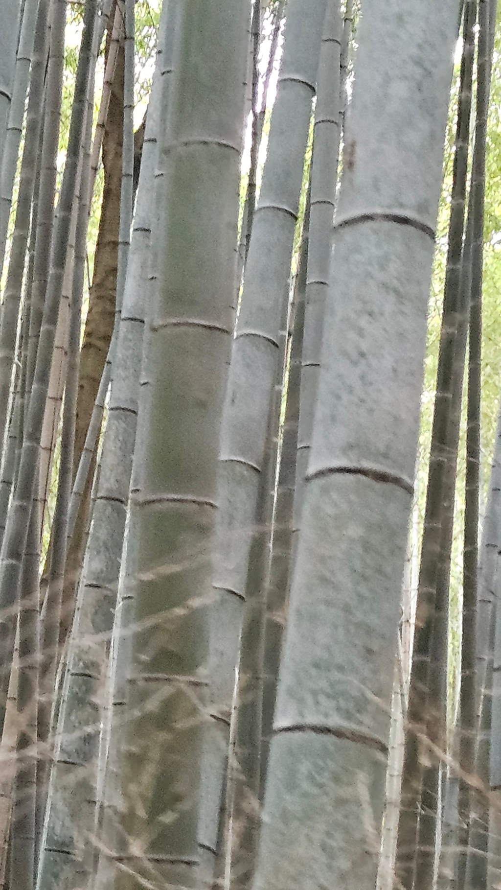 SHIT Happens – Wenn die Technik&nbsp;blutet!